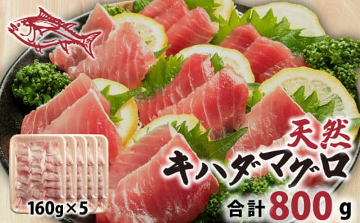 天然 キハダまぐろ切身 800g 160×5パック まぐろ 鮪 刺身 赤身 肉 鉢マグロ ネギトロ マグロ漬け 海鮮丼 丼 寿司 鉄火丼 手巻き寿司 魚 海鮮 魚介 おつまみ おかず まぐろ 冷凍 小分け 個包装 お取り寄せ 国産 千葉県 銚子市 和田水産