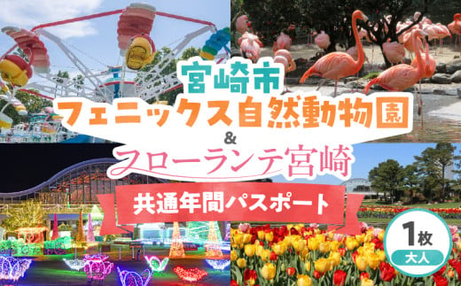 宮崎市フェニックス自然動物園&フローランテ宮崎共通年間パスポート(大人)_M353-003-02