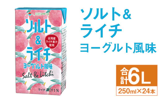 ソルト＆ライチ ヨーグルト風味 250ml×24本 合計6L 飲料 ライチ 果汁 乳飲料 果汁飲料