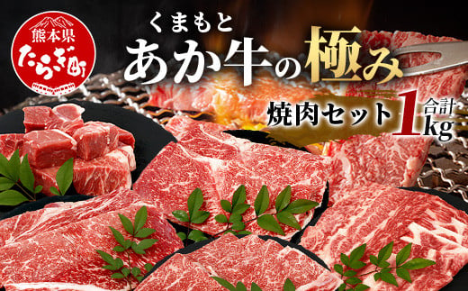 【エシカル和牛】あか牛の極み  焼肉セット (モモ・カルビ・煮込用) 【1kg】 バラ カルビ モモ 焼き肉 焼きしゃぶ 煮込み 熊本 あか牛 牛肉 赤身 和牛 国産 033-0504