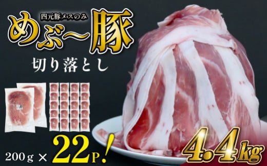 【年末限定受付！】地元ブランド豚 "めぶ~豚"  贅沢 切り落とし 4.4kg（200g×22P 豚肉 豚 お肉 切り落とし こま切れ 小間切れ 小分け 限定） 1929248 - 宮崎県小林市