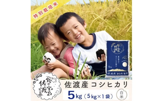 佐渡島産コシヒカリ 白米5Kg×1袋 特別栽培米 令和6年産 1925047 - 新潟県佐渡市