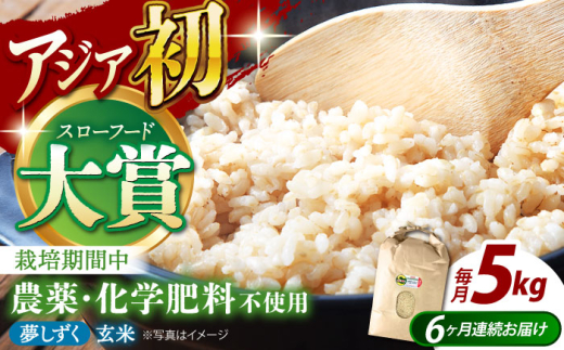 [全6回定期便]特別栽培米 江北町産 夢しずく 1等米 玄米 5kg[葦農][HAJ017] お米 江北 江北町 玄米 5kg 特別栽培農産物 米