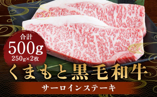 くまもと 黒毛和牛 サーロインステーキ 500g （250g×2パック） 肉 牛肉 お肉 サーロイン ステーキ ステーキ用 和牛 国産牛 冷凍 国産 九州産 熊本県産