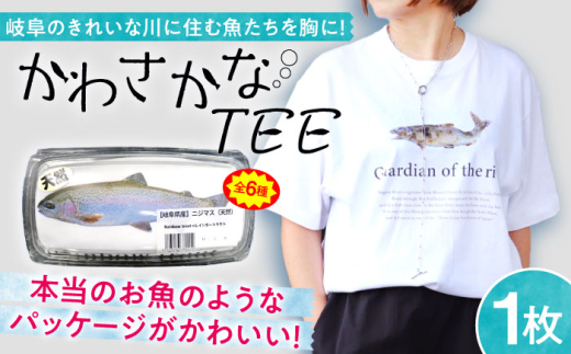 魚好きの人へ！かわさかなTEE Tシャツ 【サツキマス Mサイズ】 岐阜市 / スポット [ANGD001-4] 1926323 - 岐阜県岐阜市