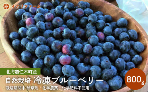 [先行受付]北海道仁木町産 冷凍ブルーベリー800g 栽培期間中 除草剤・化学農薬・化学肥料不使用[日付指定不可]果物 くだもの フルーツ 冷凍 [iori farm]