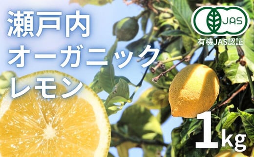 [予約] 12〜1月発送 瀬戸内オーガニックレモン 約1kg(8〜12個程度) 有機JAS認証 国産 せとうち 広島 大崎上島 離島 有機栽培 柑橘 果物 オーガニック フルーツ ギフト 防腐剤不使用 ワックス不使用 無添加 安全 安心 送料無料 産地直送 中原観光農園   338875 - 広島県大崎上島町