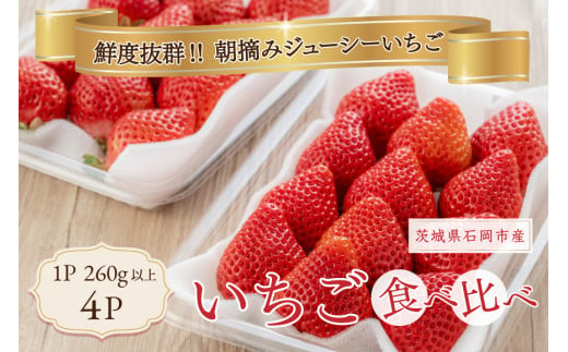 いちご 旬の苺 食べ比べセット 4p Rafすとろべりーふぁーむ イチゴ 苺 4パック 国産 果物 フルーツ くだもの 12月 1月 発送 冬 旬 産地直送 農家直送 産直 甘い デザート スイーツ 家庭用 贈答 贈答用 茨城 茨城県 石岡市 (A27-002)