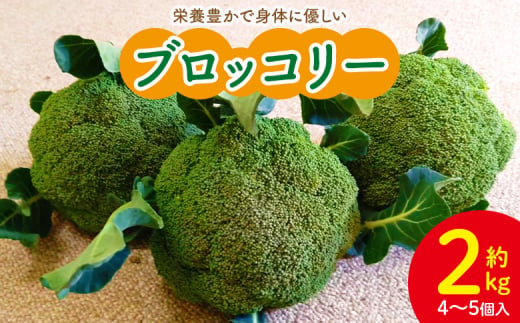 ブロッコリー 約2kg 栄養豊かで身体に優しいブロッコリー 4～5個入り - 野菜 やさい 産地直送 国産 旬 朝採れ 新鮮 サラダ スープ シチュー 弁当 おかず 便利 料理 簡単調理 冷凍保存可 高知県 香南市 常温 sy-0010