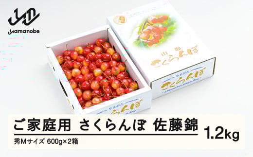 《先行予約》 さくらんぼ 佐藤錦 秀Mサイズ ご家庭用 バラ詰め 1.2kg(600g×2箱) 2025年産 令和7年産 山形県産 ns-snsmb1200 1917144 - 山形県山辺町