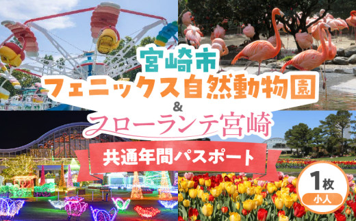 宮崎市フェニックス自然動物園&フローランテ宮崎共通年間パスポート(小人)_M353-003-01