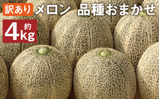 訳あり メロン 品種おまかせ 約4kg（2～7玉）【2025年5月下旬～7月下旬発送予定】 訳アリ 果物 フルーツ メロン めろん 旬 旬の果物 旬のフルーツ 1929191 - 熊本県菊池市