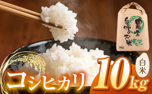 【令和7年度産先行予約】浅野農園 コシヒカリ 精米 10kg | 米 お米 コメ こめ 精米 白米 はくまい コシヒカリ こしひかり 長野県 松川村 信州
