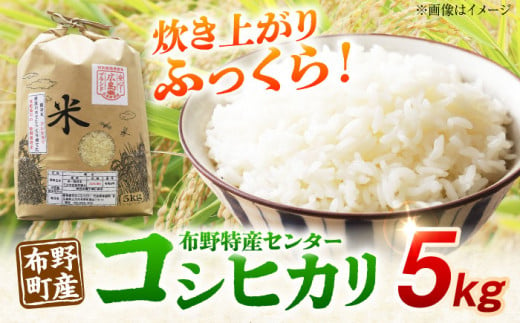 （令和6年産米） 布野町産 コシヒカリ 5kg 白米 お米 ご飯 コシヒカリ 三次市/布野特産センター[APBA005]  311464 - 広島県三次市