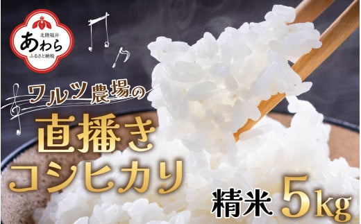 [令和6年産]ワルツ農場の直播き コシヒカリ 精米 5kg / お米 ご飯 白米 発送直前 精米 つや 艶 甘味 旨み あわら市産 福井県産 慣行栽培 コメ 北陸 福井県 あわら市