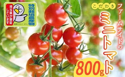 ＜特別栽培農産物＞ファームサイドのこだわりミニトマト 800g 野菜 特別栽培 農産物 サラダ ピクルス 炒め物 食品 本庄産 関東 F5K-508