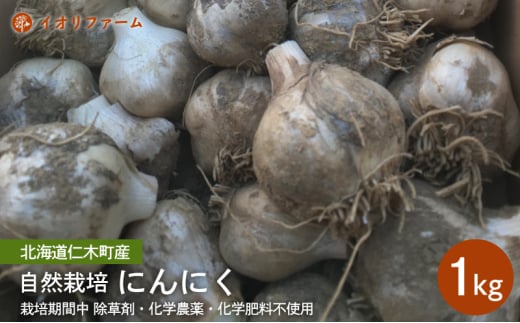 北海道仁木町産 にんにく1kg [iori farm] 栽培期間中 除草剤・化学農薬・化学肥料不使用[日付指定不可]