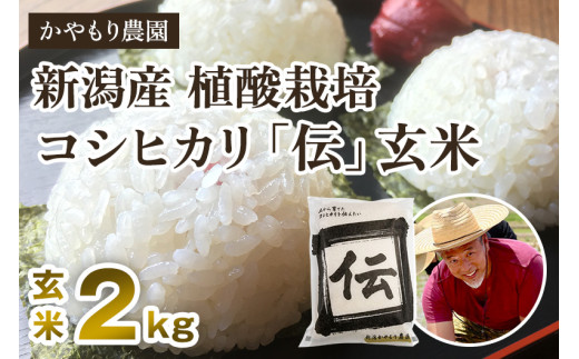 【令和6年産米】新潟産コシヒカリ「伝」真空パック 玄米2kg 南麻布の高級料亭で提供される極上米 かやもり農園 1928577 - 新潟県加茂市