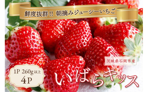 いちご いばらキッス 4p Rafすとろべりーふぁーむ イチゴ 苺 4パック 国産 果物 フルーツ くだもの 1月 2月 3月 発送 冬 旬 産地直送 農家直送 産直 甘い デザート スイーツ 家庭用 贈答 贈答用 茨城 茨城県 石岡市 (A27-001) 1929349 - 茨城県石岡市