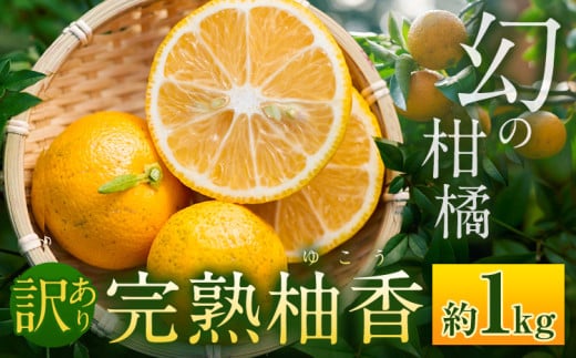 < 予約受付開始 > 訳あり 完熟柚香 ゆこう 約1kg シシトトラ《11月中旬-12月下旬頃出荷》 │ 柑橘 家庭用 柑橘 訳あり 柑橘 徳島県 柑橘 ご当地食材 レア 幻の果実 ぽん酢 加工用 柑橘 完熟 フルーツ 徳島県 上勝町 1986992 - 徳島県上勝町