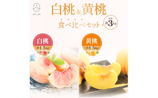 No.2672白桃＆黄桃食べ比べセット　約3kg【2025年発送　先行予約】 934096 - 福島県福島市