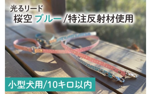 40-23【小型犬用10キロまで】光るリード「桜空（さくらぞら）」（ブルー）特注・桜柄反射材で作りました【散歩 愛犬 夜散歩 手作り 阿見町 茨城県】 1929361 - 茨城県阿見町