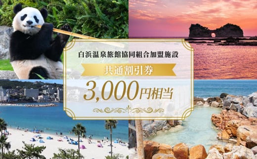 白浜温泉旅館協同組合加盟施設 共通宿泊割引券 3000円相当 1588154 - 和歌山県白浜町