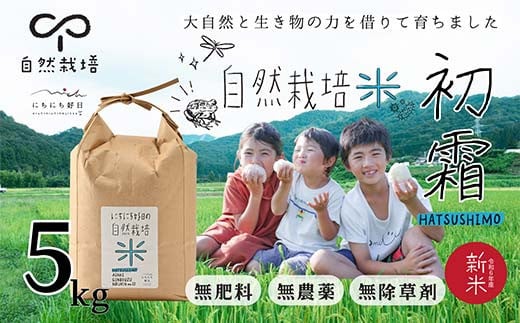 循環農法・自然栽培【令和6年産】幻の米「初霜（はつしも）」 白米（5kg）※肥料・農薬・除草剤不使用 お米 米 国産米 ギフト 贈り物  グルメ 食品 国産 復興 震災 コロナ 能登半島地震復興支援 北陸新幹線 F6P-2319