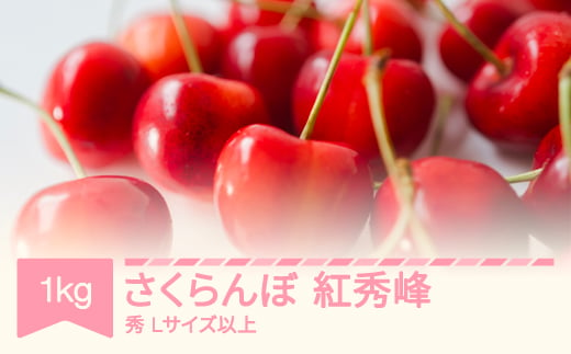 【先行予約】2025年産 さくらんぼ 紅秀峰 Lサイズ以上 1kg  山形県産 フルーツ 果物 くだもの サクランボ sb-bsslx1000 1929658 - 山形県村山市