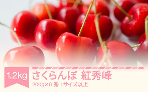 【先行予約】2025年産 さくらんぼ 紅秀峰 秀 Lサイズ以上 1.2kg(200g×6) 山形県産 フルーツ 果物 くだもの サクランボ sb-bsslx1200 1929660 - 山形県村山市