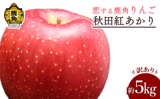 [発送時期選択]令和6年産 秋田県鹿角産りんご 訳あり「秋田紅あかり」家庭用 約5kg[恋する鹿角カンパニー]かづのりんご 食感 果汁 さっぱり リンゴ 完熟 旬 県産りんご 林檎 お中元 お歳暮 贈り物 お見舞い グルメ ギフト 故郷 秋田 あきた 鹿角市 鹿角