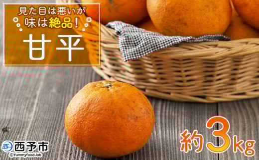 ＜見た目は悪いが味は絶品 無茶々園の甘平 約3kg（15玉前後）＞果物 かんぺい みかん 蜜柑 柑橘 フルーツ 期間限定 季節限定 数量限定 無茶々園 特産品 愛媛県 西予市【常温】 281284 - 愛媛県西予市