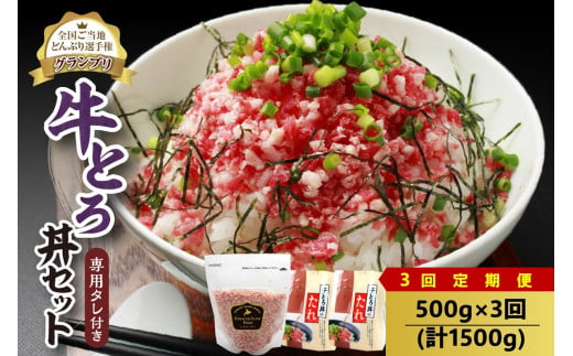 【3回定期便】人気の牛とろ丼セット 500g 専用タレ付き_S006-0069 1937601 - 北海道清水町