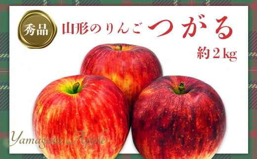 【2025年9月～10月発送分先行受付】「秀品」山形のりんご（つがる）約2kg_H210(R7)