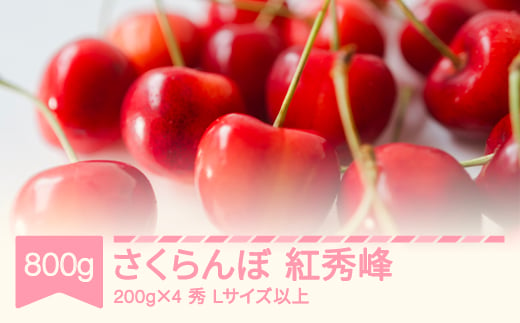 【先行予約】2025年産 さくらんぼ 紅秀峰 秀 Lサイズ以上 800g (200g×4) 山形県産 フルーツ 果物 くだもの サクランボ sb-bsslx800