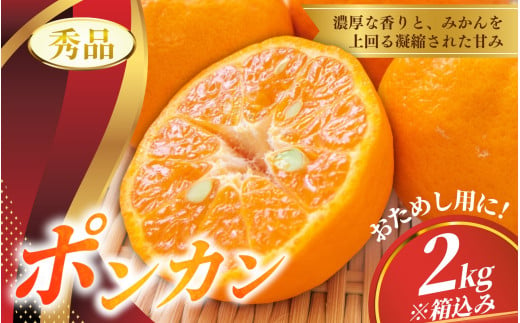 秀品 ポンカン 2kg ※箱込み 【S~2Lのサイズおまかせ】【2025年1月下旬から2025年2月中旬頃に順次発送】＜味好農園＞/ ぽんかん 蜜柑 みかん 柑橘 果物 フルーツ 【agy027】 1929362 - 和歌山県紀美野町