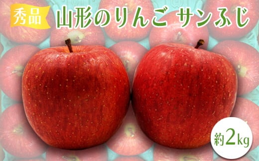 【2025年11月～12月発送分先行受付】「秀品」山形のりんご（サンふじ）約10kg_H218(R7)