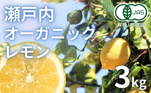 [予約] 2〜3月発送 瀬戸内オーガニックレモン 約3kg(24〜30個程度) 有機JAS認証 国産 せとうち 広島 大崎上島 離島 有機栽培 柑橘 果物 オーガニック フルーツ ギフト 防腐剤不使用 ワックス不使用 無添加 安全 安心 送料無料 産地直送 中原観光農園   338502 - 広島県大崎上島町