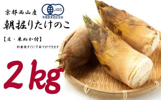 ＜先行予約＞【皮付き京都西山産】 朝掘りたけのこ ２kg（米ぬか付）【アドプランツコーポレーション】 749772 - 京都府京都市