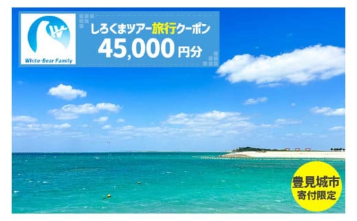 【豊見城市】しろくまツアーで利用可能なWEB旅行クーポン(45,000円分)｜旅行 観光 ツアー トラベル 宿泊 ホテル 沖縄 沖縄旅行 海 おきなわ 豊見城市 人気 送料無料(CV008) 1942383 - 沖縄県豊見城市