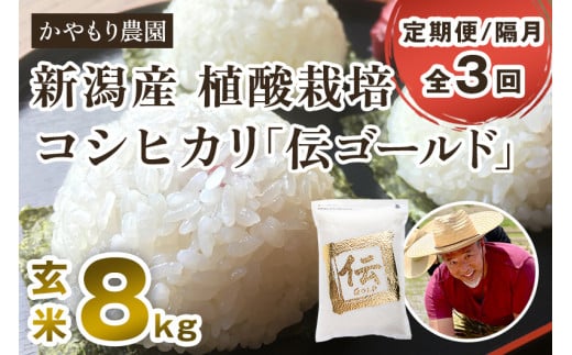 【令和6年産新米】【定期便3回隔月お届け】新潟産コシヒカリ「伝ゴールド」真空パック 玄米8kg（2kg×4） 南麻布の高級料亭で提供される極上米 かやもり農園