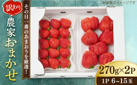 【農家直送！】 農家おまかせ訳あり 270g×2パック 糸島市 / みのりのりん [ABD004] 1929098 - 福岡県糸島市 |