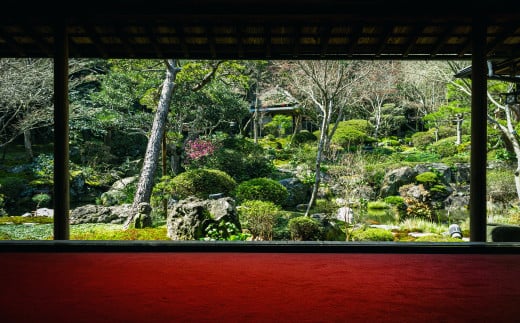 新居浜の名刹「慈眼寺」で水引細工体験！抹茶とフレンチも堪能する贅沢な時間 「6名様」（810）