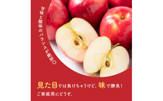 山形県米沢市のふるさと納税 【先行予約】令和7年産 訳あり りんご（サンふじ）5kg 2025年11月中旬～ お届け ご家庭用 2025年産