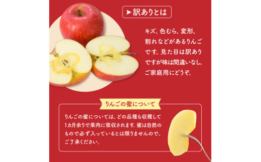 山形県米沢市のふるさと納税 【先行予約】令和7年産 訳あり りんご（サンふじ）5kg 2025年11月中旬～ お届け ご家庭用 2025年産