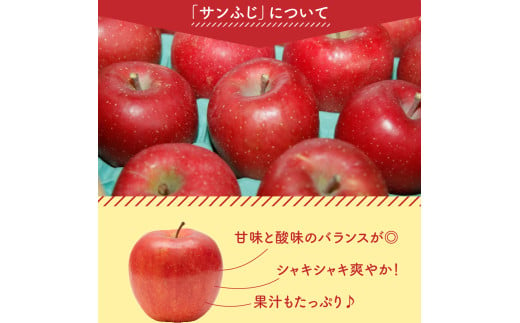 山形県米沢市のふるさと納税 【先行予約】令和7年産 訳あり りんご（サンふじ）5kg 2025年11月中旬～ お届け ご家庭用 2025年産