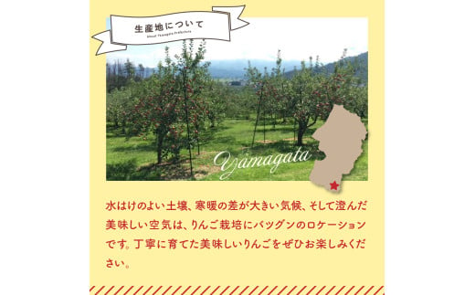 山形県米沢市のふるさと納税 【先行予約】令和7年産 訳あり りんご（サンふじ）5kg 2025年11月中旬～ お届け ご家庭用 2025年産