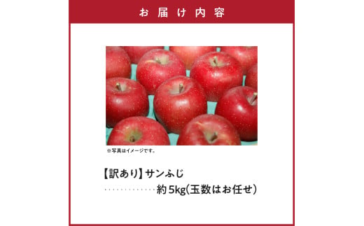 山形県米沢市のふるさと納税 【先行予約】令和7年産 訳あり りんご（サンふじ）5kg 2025年11月中旬～ お届け ご家庭用 2025年産