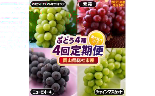 【4回定期便】ぶどう4種食べ比べコース（マスカットオブアレキサンドリア・ニューピオーネ・シャインマスカット・紫苑）岡山県総社市産【2025年産先行予約】25-079-001