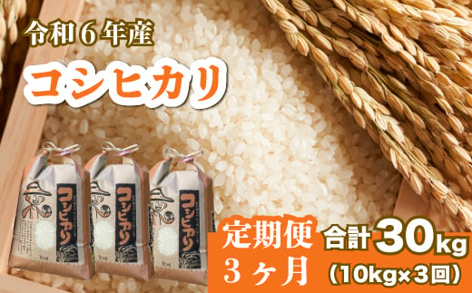 【３か月定期便】令和6年産 コシヒカリ 白米10kg（5kg×2袋） お米 米 精米 ごはん ご飯 広島県 三原市 187007